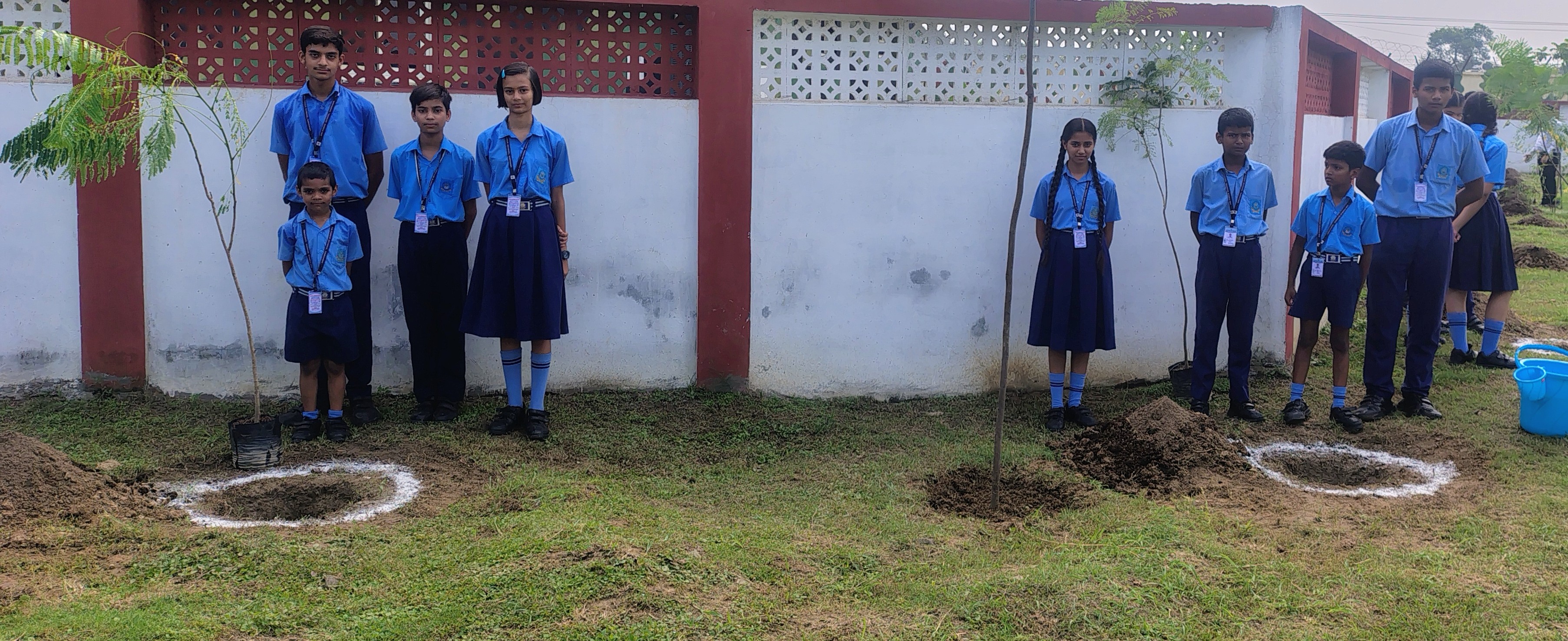 Tree Plantation Drive 